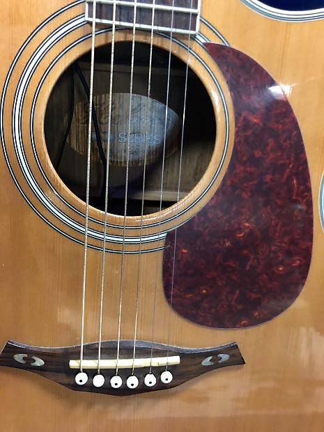 Hohner online ea65ceq guitar
