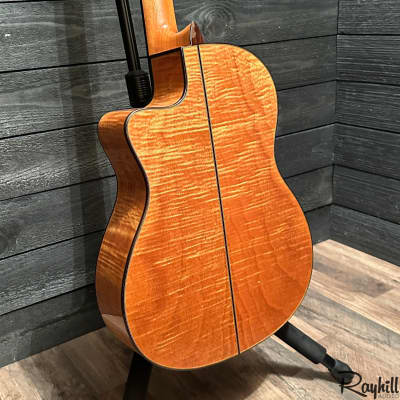 Cordoba Fusion 14 Maple Spruce Top Nylon String Acoustic-Electric Guitar image 5