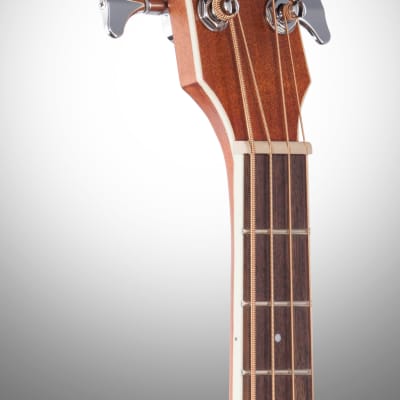 Ibanez PNB14E Performance Parlor Acoustic-Electric Bass Guitar, Open Pore Natural image 6