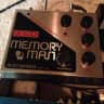 Electro Harmonix Deluxe Memory Man  Gray Metal