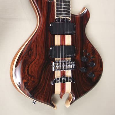 Alembic Darling Coco Bolo./LEDS/ Wood neck binding and more image 1