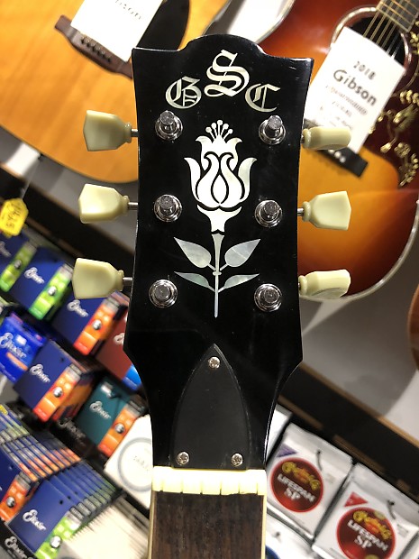 Springfield guitar store company