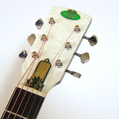 Regal Acoustic Resonator Guitar Nickel-Plated Steel Body - Open Box image 6