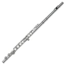 Gemeinhardt 2SP Straight-Headjoint Flute with Offset G