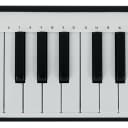 Arturia MicroLab Black Music Production USB MIDI 25-Key Keyboard Controller