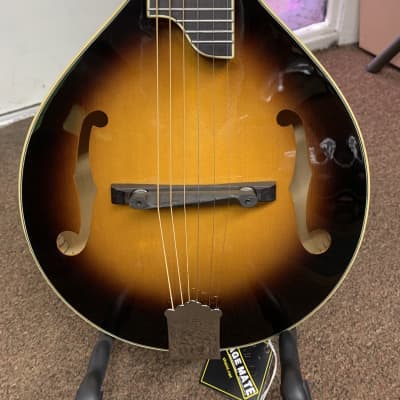 GOLD TONE GM-6 6-string Mandolin style GUITAR new GM6 Solid Top w/ Gig Bag image 3