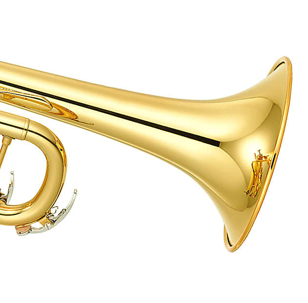 Strauss 6300 Student Trumpet Outfit, Our Best Deal image 1