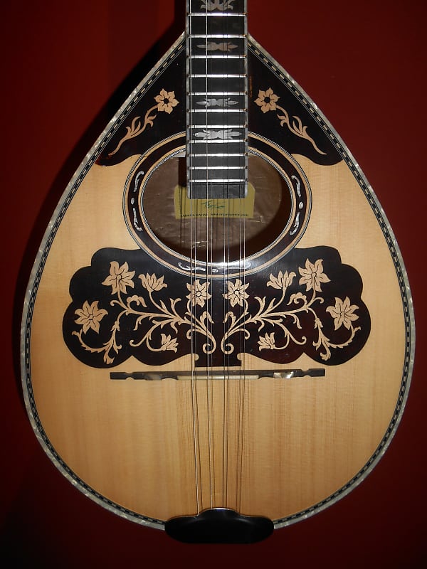 Greek Bouzouki with HARDCASE and pickup and 300 backing track Reverb