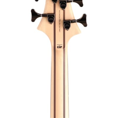 ESP LTD B204 Fretless Electric Bass Guitar Natural Satin image 7