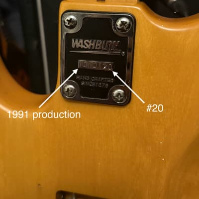 #20 Washburn N2 image 8