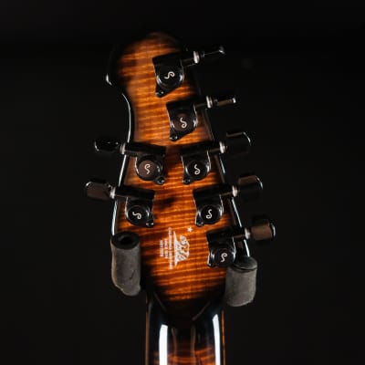Ernie Ball Music Man John Petrucci Limited-edition Maple Top Majesty 7-string Electric Guitar - Spice Melange image 7