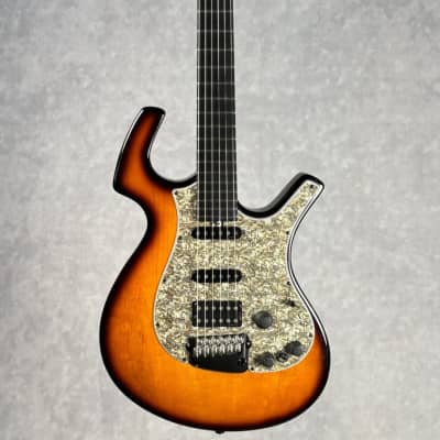 PARKER NITEFLY SERIES electric guitars