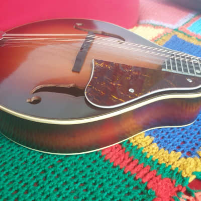 Kay Mandolin 40' - fully restored, perfect image 4