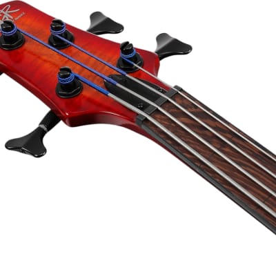 Ibanez SRD900 Fretless 4-String Exotic Maple Electric Bass, Panga Panga Fingerboard, Brown Topaz Burst image 4