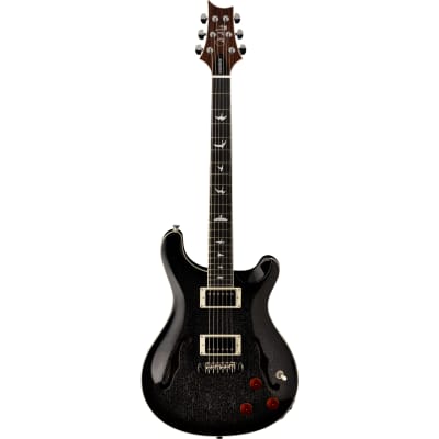 PRS SE Hollowbody Standard Piezo Electric Guitar, Dog Hair Smokeburst, Hardshell Case image 1