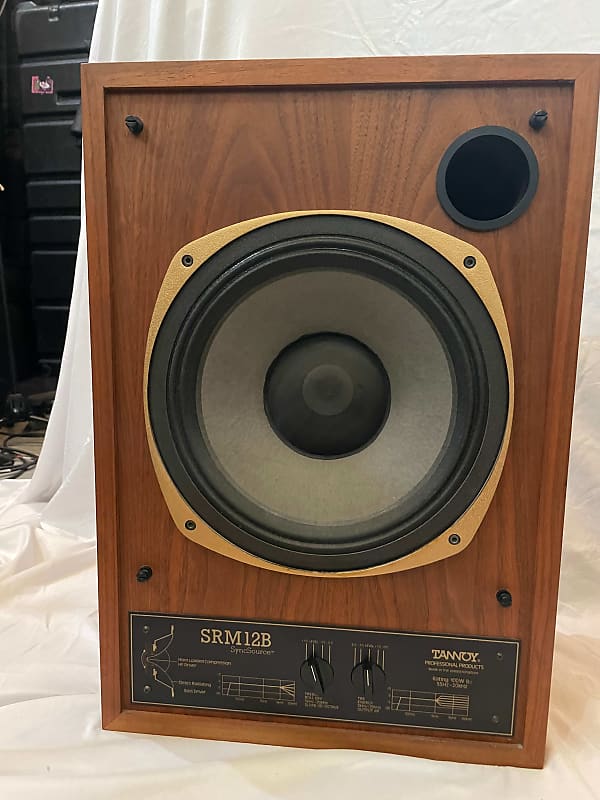 Tannoy best sale srm 12