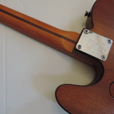 Fender Telecaster  George Harrison  Cloud Nine One of a Kind Hand Engraved DDCC Custom Guitar image 8