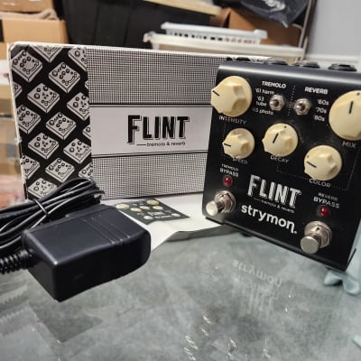 Strymon Flint V1 + Strymon Tap favorite + Rockman TRS cable
