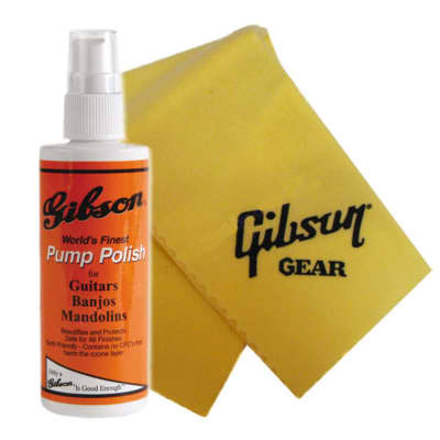 Gibson Pump Polish and Polish Cloth Kit for sale