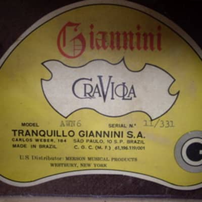 Giannini Craviola AWN6 1973 image 9