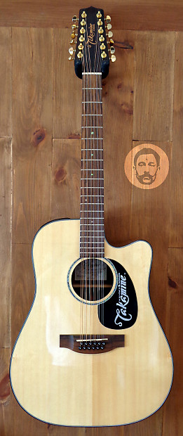 Takamine G Series EG345C 12 String Acoustic Electric Gutiar Reverb