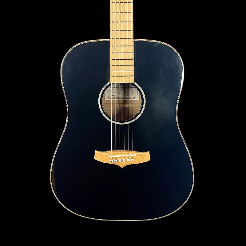 Tanglewood Acoustic Guitar TW28 SEAGULL BK | Reverb