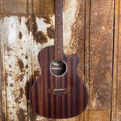 D'Angelico Premier Fulton LS 12 String Acoustic Guitar (Used) for sale