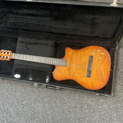 carvin NS1 Nylon Synth Access Guitar made in USA 2008 mint condition in Umber Sunburst Finish. with original hard shell case for sale