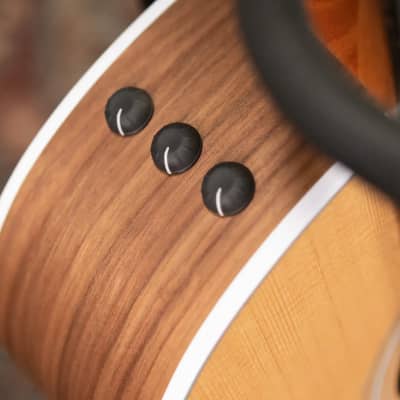 Taylor 214ce Grand Auditorium Acoustic-Electric Guitar with Structured Gig Bag image 8