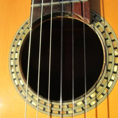 Giannini AWN 300 Classical Guitar, 1970's, Brazil, Rosewood, Very Ornate, Case image 4