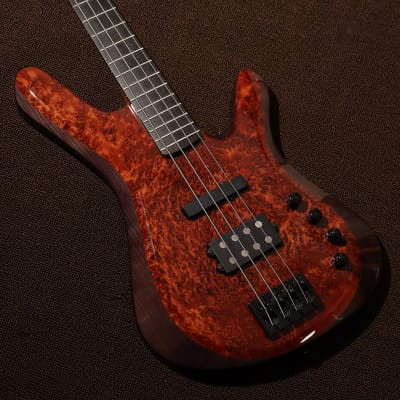 Kiesel Vanquish Bass 2020 NAMM - Redwood Burl for sale