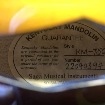 Kentucky KM-750 - Vintage Sunburst Deluxe F-model Mandolin w/ ProTour Gig Bag image 18