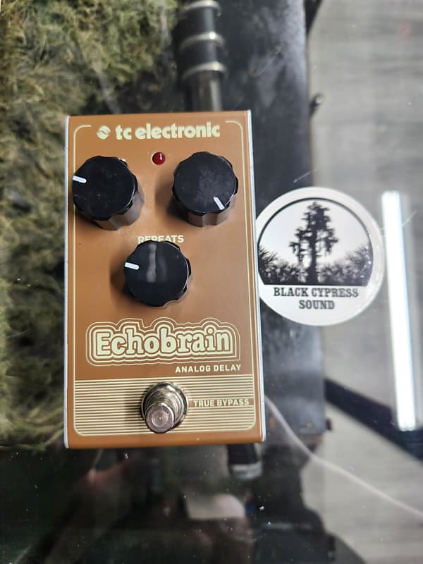 TC Electronic Echobrain Analog Delay