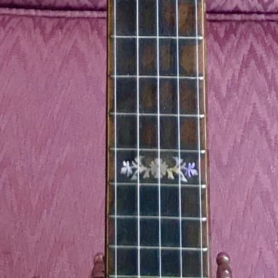 Orpheum #3  Five String Banjo Mahogany Circa 1925 image 10