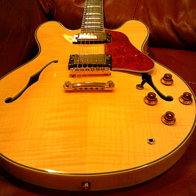 KARERA 335-Style Semi-Hollow Body Electric Guitar *BEAUTIFUL with WARM-TONE & *FREE Hard-Shell Case!!! image 2
