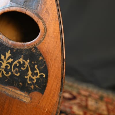 Antique c1900 Antonio Grauso Italian American Bowl Back Mandolin (project) image 6