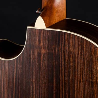 Martin GPC-16E Indian Rosewood and Sitka Spruce NEW image 16