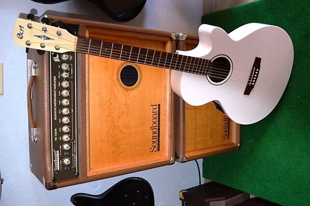 Cort SFX1F-AW with Fishman Electronics & gigbag 2013 Arctic