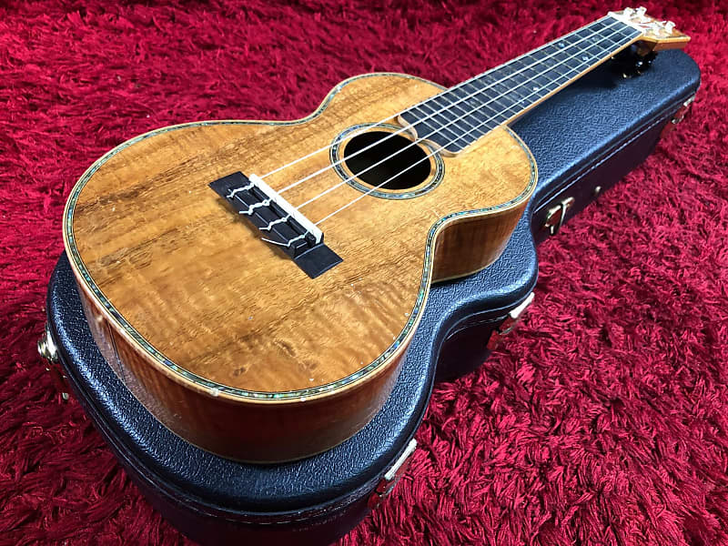 TRUTH TUC-43 Hard Case Concert Ukulele Akio Musical Instrument Hawaii  Hawaiian | Reverb Finland