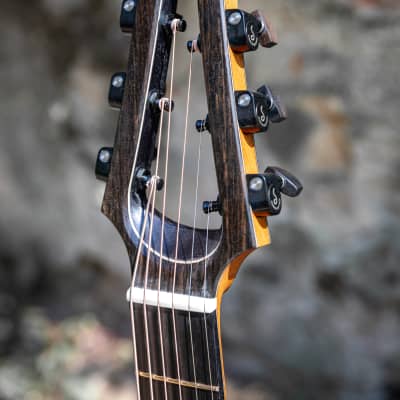 Salz Guitars PS 2023 - Swiss moon spruce & Indian rosewood image 4