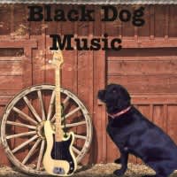 Black Dog Music