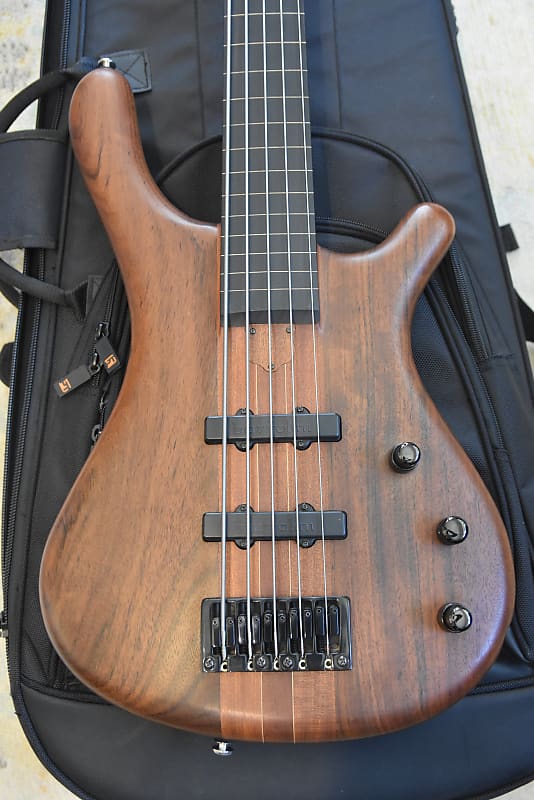 Mayones BE-5 Lined Fretless 5 string bass guitar 2005 | Reverb