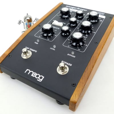 Moog Moogerfooger MF 104 M Analog Delay + Neuwertig + 1,5 Jahre Garantie image 1