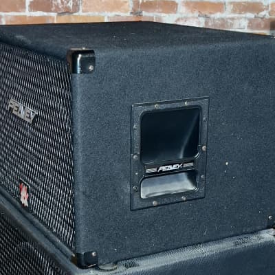 Peavey 210 TXF 2x10" Bass Speaker Cabinet with Tweeter Black Works Great ! image 4