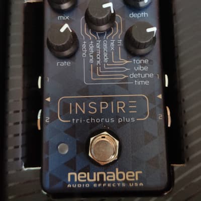 Neunaber Audio Effects Inspire Tri-Chorus Plus | Reverb