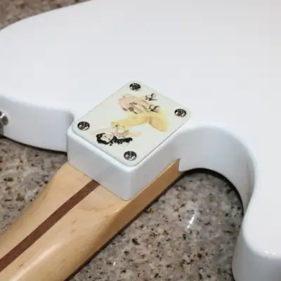 Fender Telecaster Partscaster American Professional Neck Seymour duncan antiquity pickups image 13
