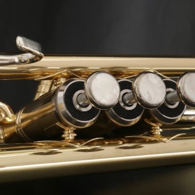 Introducing the ACB  TR-1 Student Trumpet in Polished Lacquer! image 4