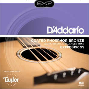D'Addario EXPPBB190GS Phosphor Bronze GS Mini Acoustic Bass Strings