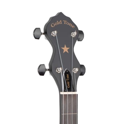 Gold Tone AC-12FL 12'' Fretless Acoustic Composite 5-String Openback Banjo with Gig Bag image 9