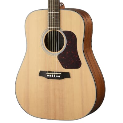 Walden D550-E Natura 500 Series Dreadnought w/Solid Spruce Top image 2